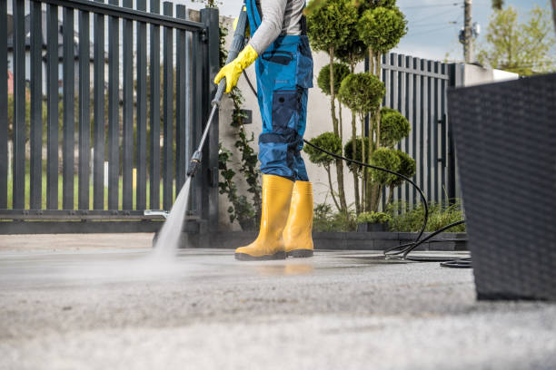 Best Deck Cleaning Services  in Lakewood, CO